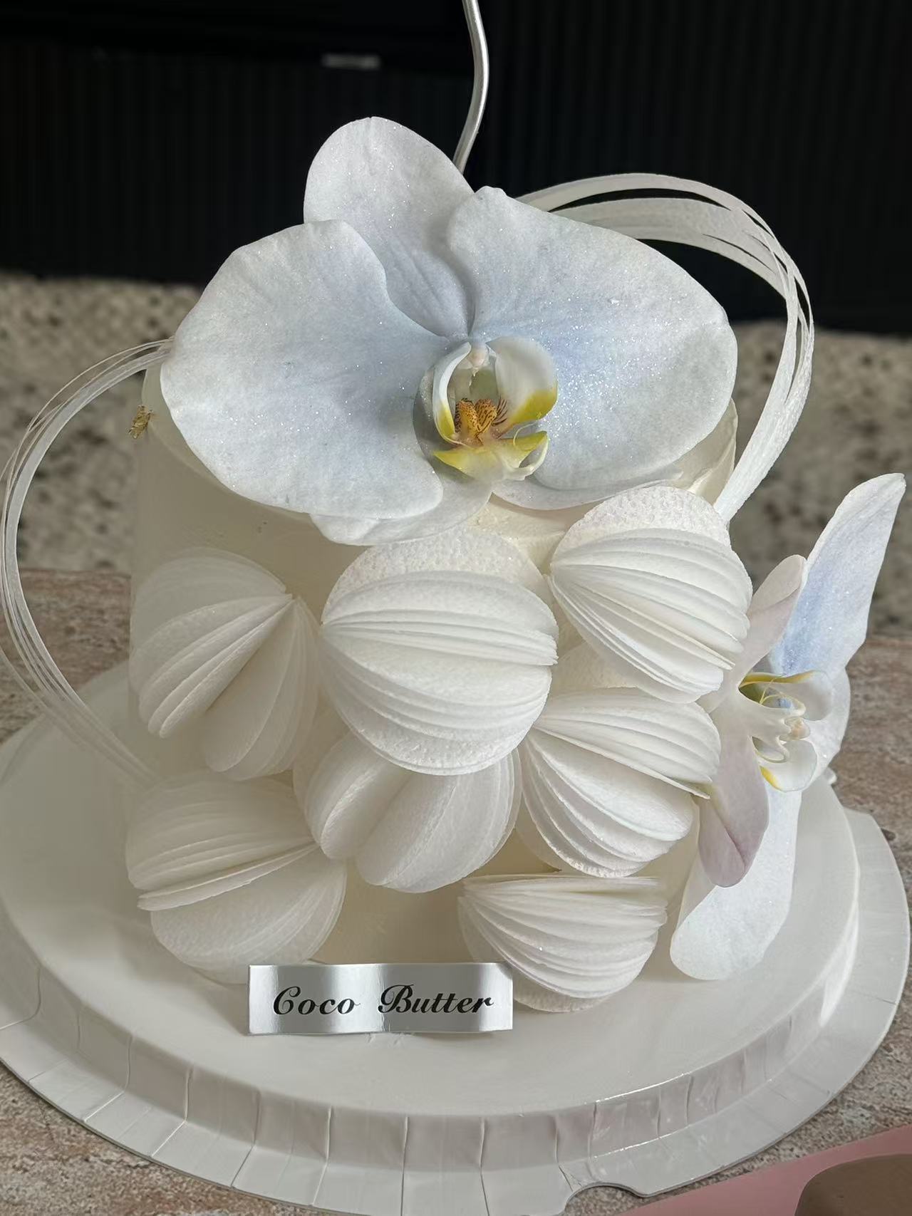 Cloud Orchid